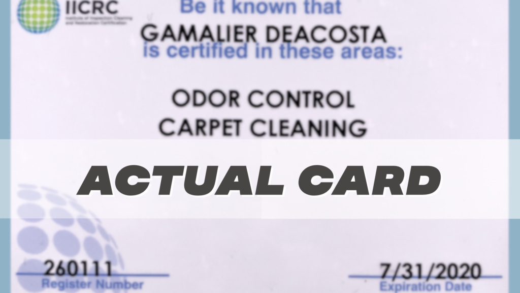 How Do You Know Your Carpet Cleaner Is Qualified? Cardinal Organic
